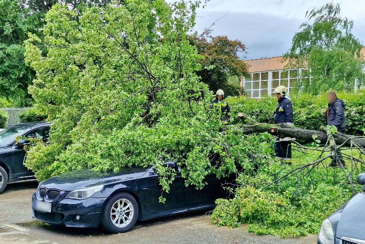 Fa dlt egy parkol BMW-re Szombathelyen - kisebb horpadsokkal megszta az aut
